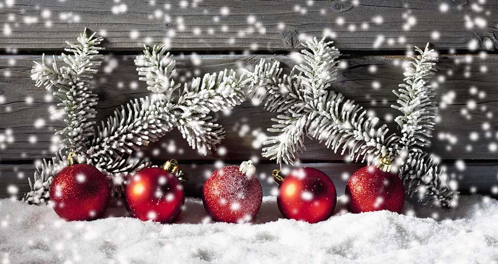 festive-news