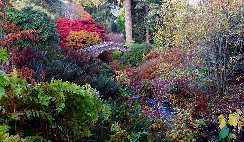Dawyck Dutch bridge with autumn colour